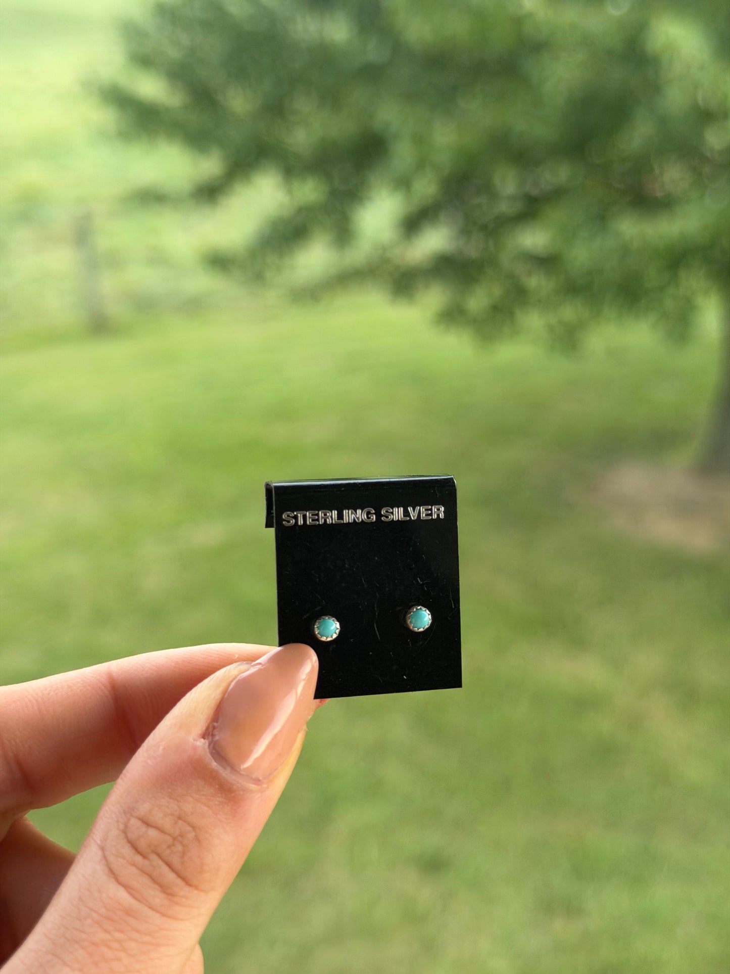 Native Teeny Kingman Turquoise Studs