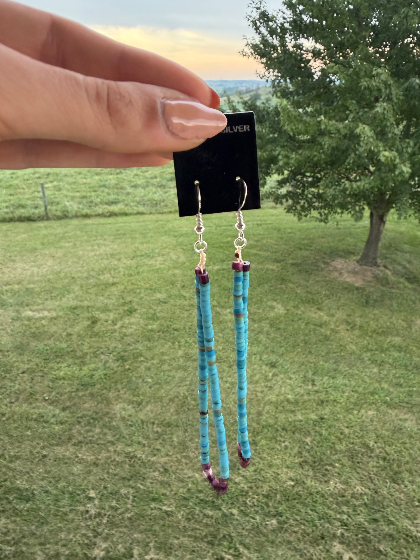 Native Turquoise and Spiny Beaded Earrings